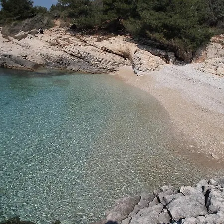 Kaucic *